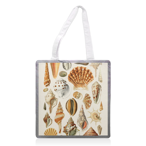 Seashells Collection - printed canvas tote bag by Gal Design