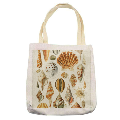 Seashells Collection - printed canvas tote bag by Gal Design