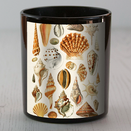 Seashells Collection - scented candle by Gal Design