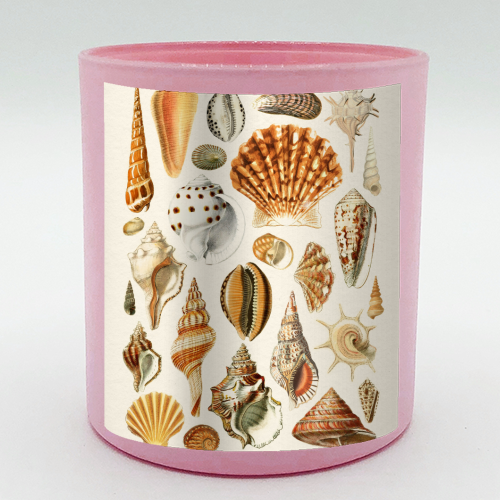 Seashells Collection - scented candle by Gal Design