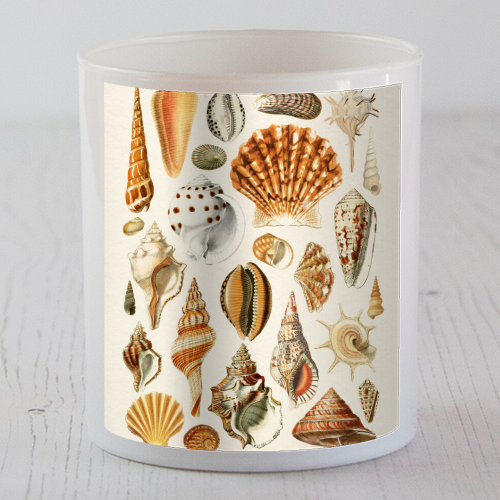 Seashells Collection - scented candle by Gal Design