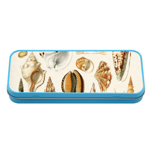 Seashells Collection - tin pencil case by Gal Design