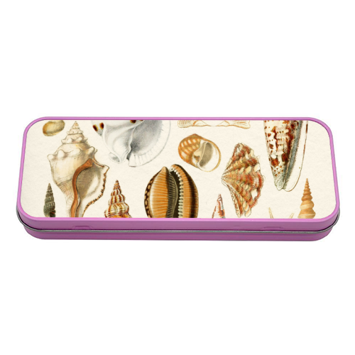 Seashells Collection - tin pencil case by Gal Design