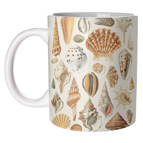 Seashells Collection - unique mug by Gal Design