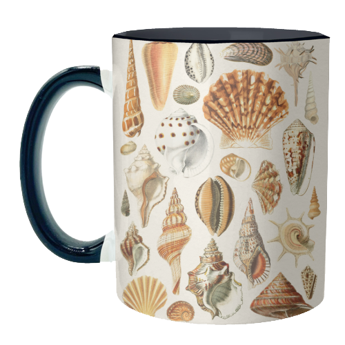 Seashells Collection - unique mug by Gal Design