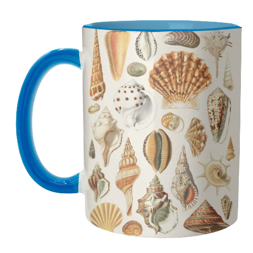 Seashells Collection - unique mug by Gal Design