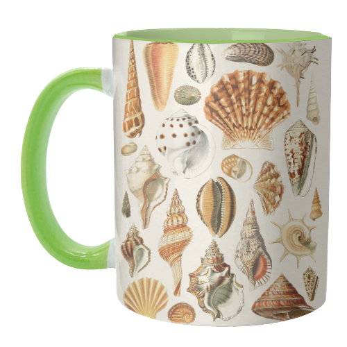 Seashells Collection - unique mug by Gal Design