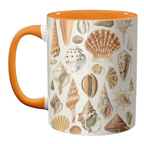 Seashells Collection - unique mug by Gal Design