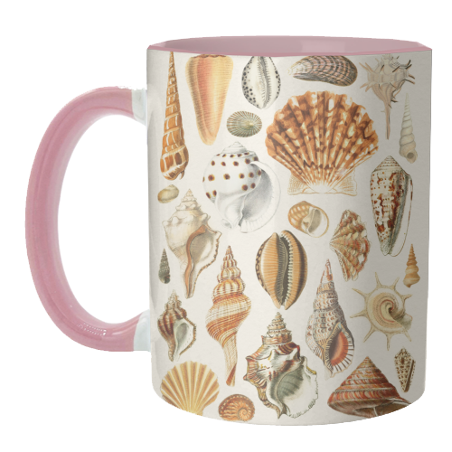 Seashells Collection - unique mug by Gal Design