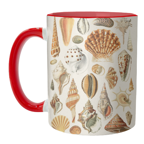 Seashells Collection - unique mug by Gal Design