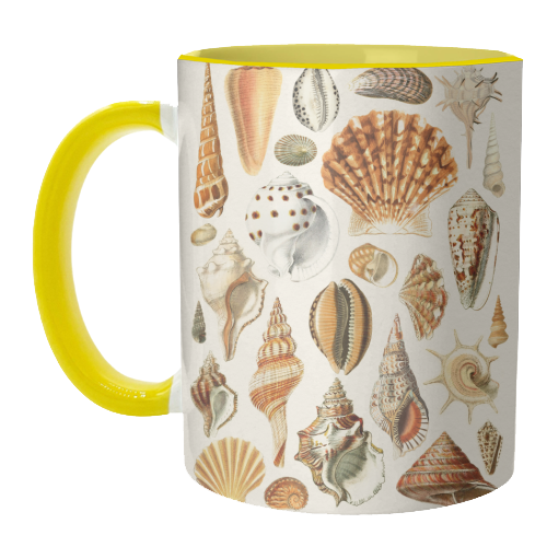 Seashells Collection - unique mug by Gal Design