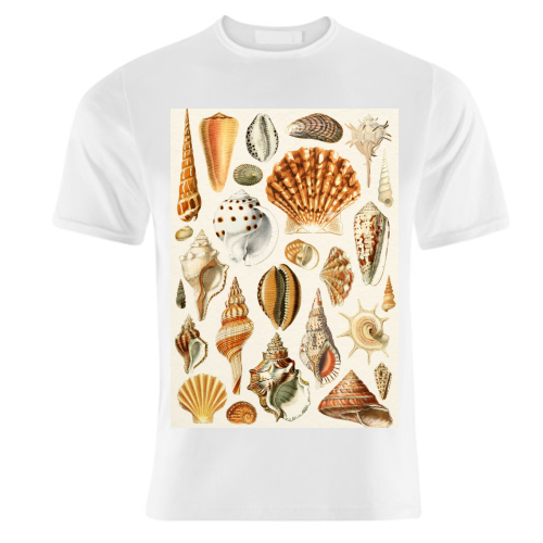 Seashells Collection - unique t shirt by Gal Design