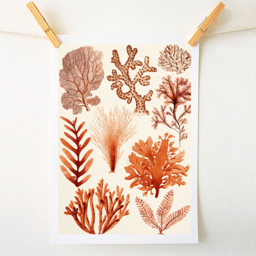 Seaweed & Corals Collection - A1 - A4 art print by Gal Design