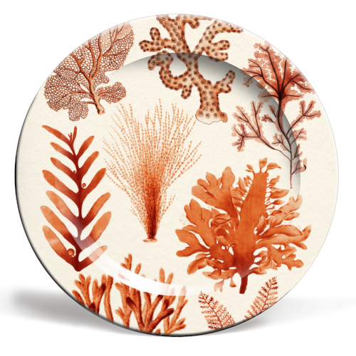Seaweed & Corals Collection - ceramic dinner plate by Gal Design