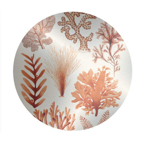 Seaweed & Corals Collection - Circle Sticker by Gal Design