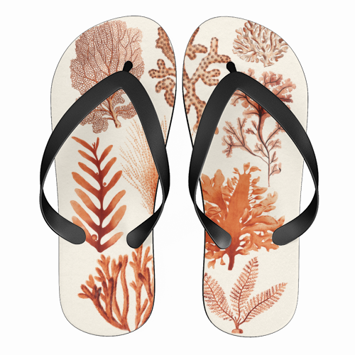 Seaweed & Corals Collection - funny flip flops by Gal Design