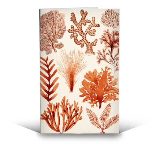 Seaweed & Corals Collection - funny greeting card by Gal Design