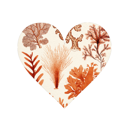 Seaweed & Corals Collection - Magnet by Gal Design