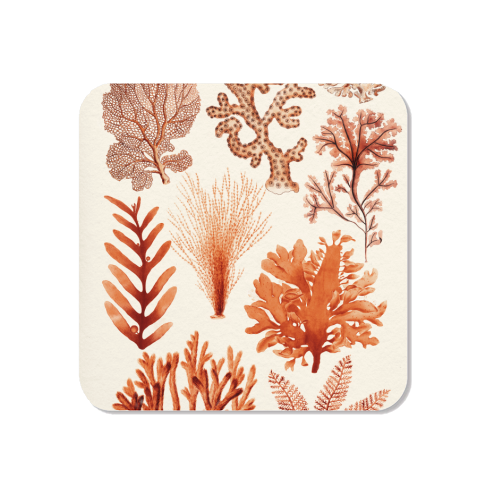 Seaweed & Corals Collection - Magnet by Gal Design