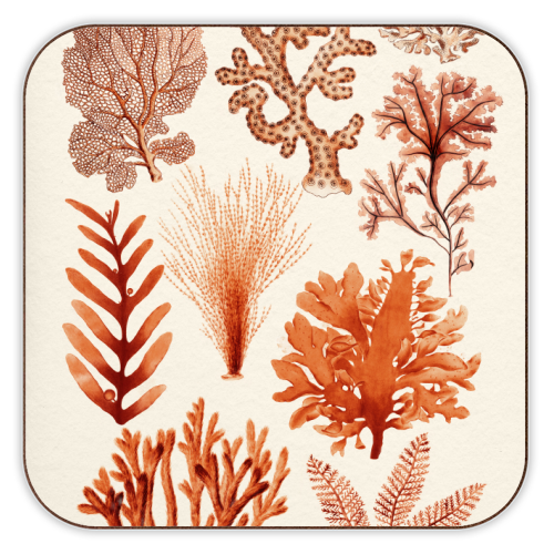 Seaweed & Corals Collection - personalised beer coaster by Gal Design