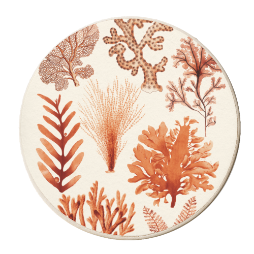 Seaweed & Corals Collection - personalised beer coaster by Gal Design