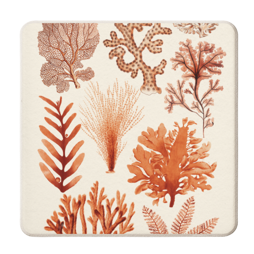 Seaweed & Corals Collection - personalised beer coaster by Gal Design