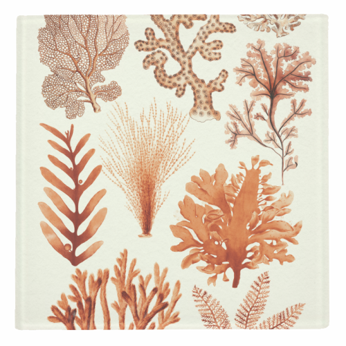Seaweed & Corals Collection - personalised beer coaster by Gal Design