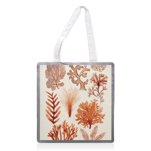Seaweed & Corals Collection - printed canvas tote bag by Gal Design