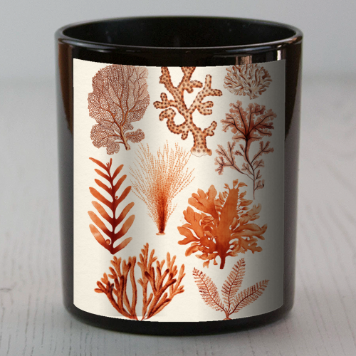Seaweed & Corals Collection - scented candle by Gal Design