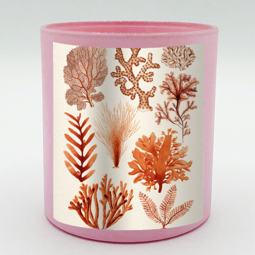Seaweed & Corals Collection - scented candle by Gal Design
