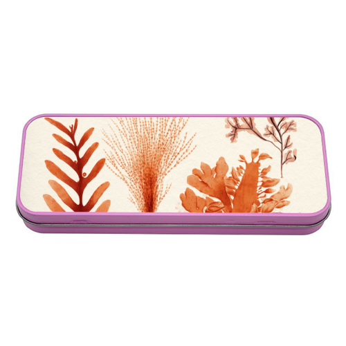 Seaweed & Corals Collection - tin pencil case by Gal Design