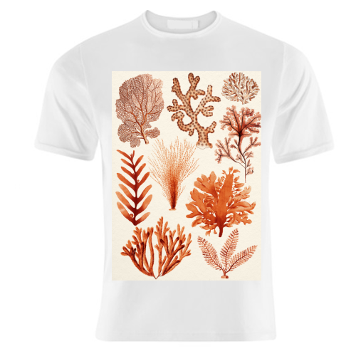 Seaweed & Corals Collection - unique t shirt by Gal Design