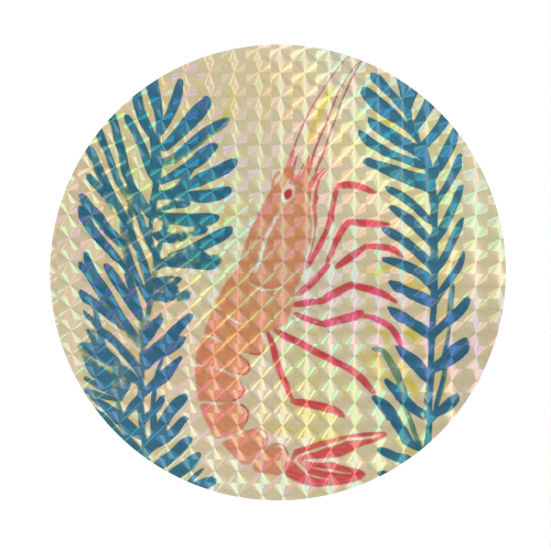 Shrimp - Circle Sticker by DejaReve
