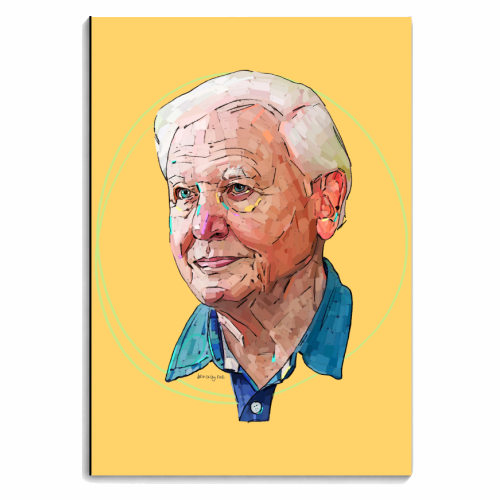 Sir David - personalised A4, A5, A6 notebook by Beverley Rae