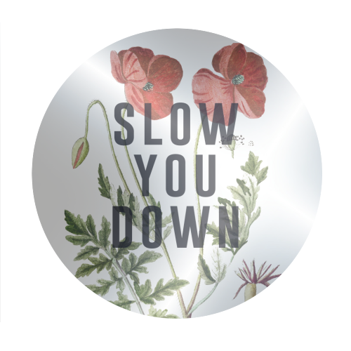 Slow You Down - Circle Sticker by The 13 Prints