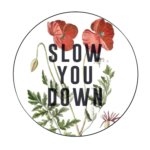 Slow You Down - Circle Sticker by The 13 Prints