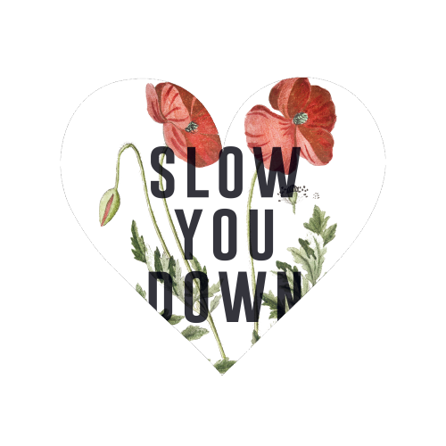 Slow You Down - Magnet by The 13 Prints