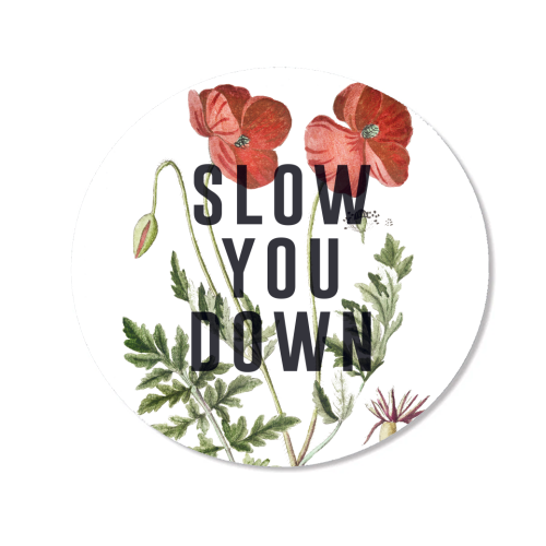 Slow You Down - Magnet by The 13 Prints