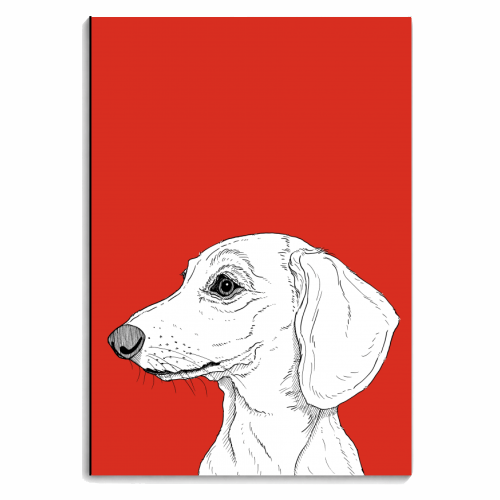 Smooth Haired Dachshund Portrait - personalised A4, A5, A6 notebook by Adam Regester