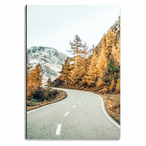 Snow and Golden Pine - personalised A4, A5, A6 notebook by Uma Prabhakar Gokhale