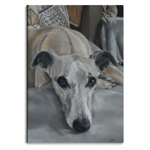 Whippet - Soulful - personalised A4, A5, A6 notebook by Sarah Perry Fine Art