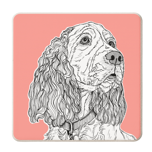 Spaniel Dog Portrait ( coral background ) - personalised beer coaster by Adam Regester