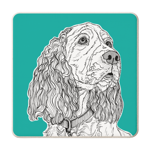 Spaniel Dog Portrait ( teal background ) - personalised beer coaster by Adam Regester