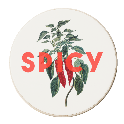Spicy - personalised beer coaster by The 13 Prints