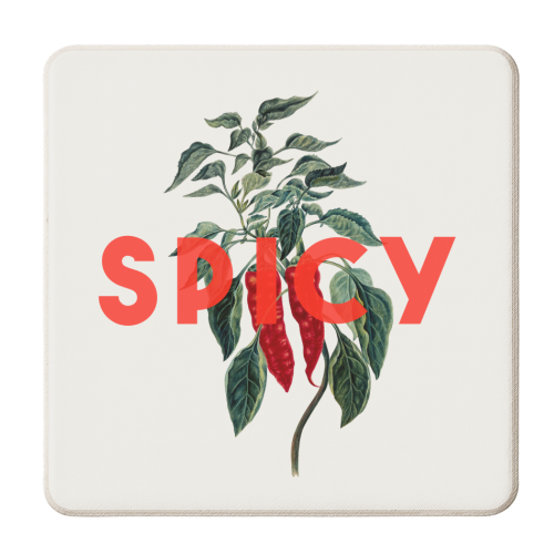 Spicy - personalised beer coaster by The 13 Prints