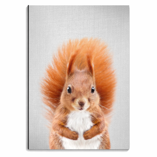 Squirrel - Colorful - personalised A4, A5, A6 notebook by Gal Design
