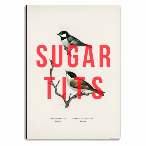 Sugar Tits | Birds - personalised A4, A5, A6 notebook by The 13 Prints