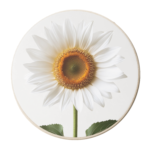 Sunflower - personalised beer coaster by haris kavalla