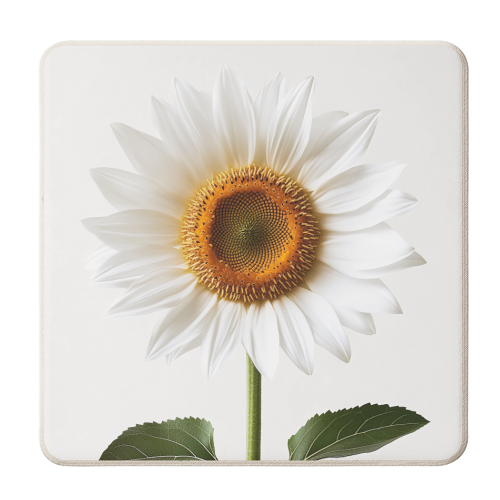Sunflower - personalised beer coaster by haris kavalla