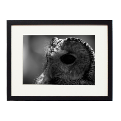 The Glowering Intuition - framed poster print by Lordt